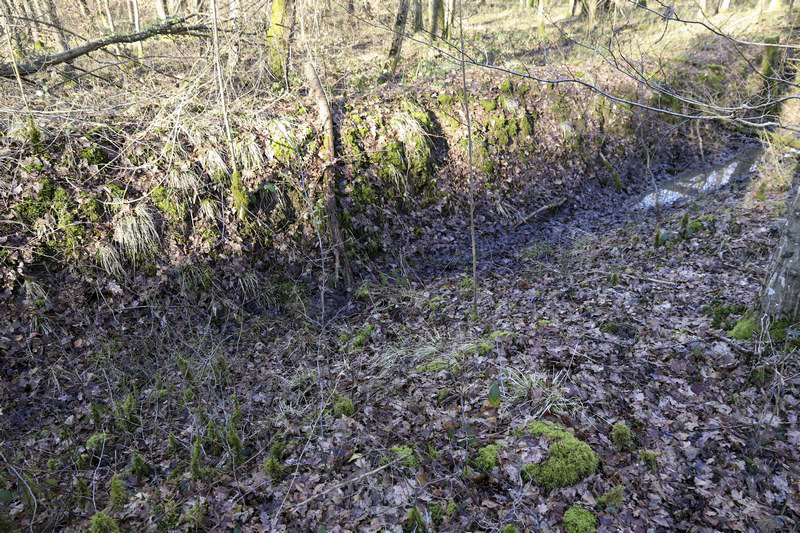 Ligne Maginot - MOORBUSCH - (Obstacle antichar) - Les restes du fossé.