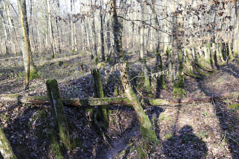 Ligne Maginot - MOORBUSCH - (Obstacle antichar) - Les restes du fossé.