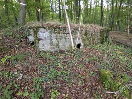 Ligne Maginot - BOIS SACKER - (Abri) - 