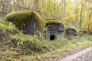 Ligne Maginot - 113 - OLTINGUE - (Casemate d'artillerie) - 