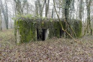 Ligne Maginot - SELTZBACH 2 - (Blockhaus pour canon) - Le blockhaus vu coté entrées
Le cartouche a disparu