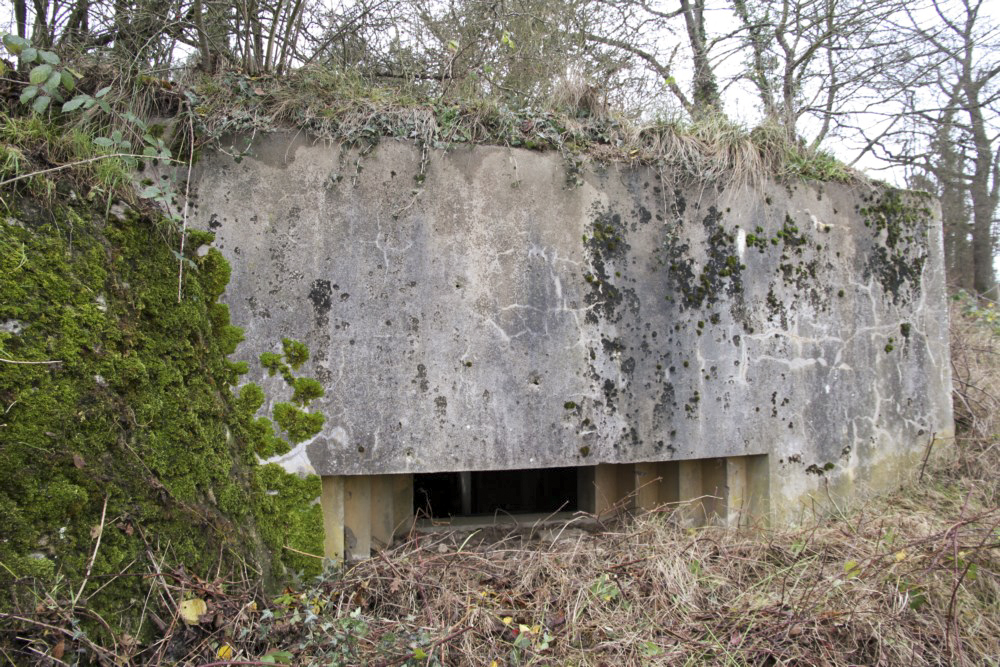 Ligne Maginot - GALBERG EST - (Blockhaus pour canon) - 
