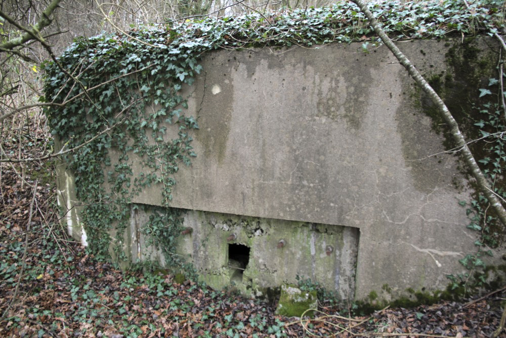 Ligne Maginot - GALBERG SUD - (Blockhaus pour arme infanterie) - 