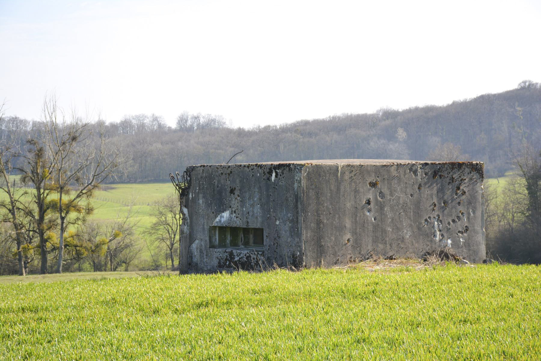 Ligne Maginot - VEILLERBERG - (Blockhaus pour canon) - Vue d'ensemble du blockhaus