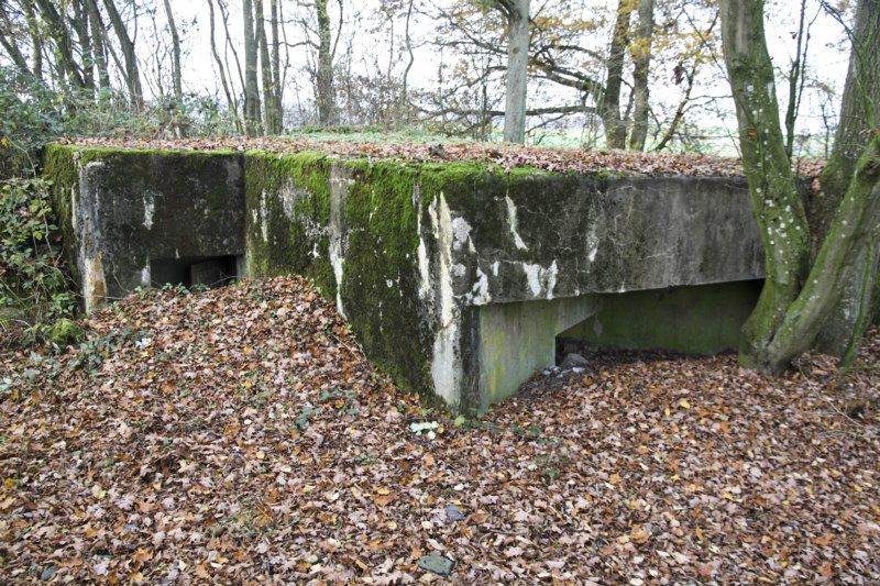 Ligne Maginot - BB3 - BUCHWIESE EST - (Blockhaus pour canon) - Entrée et flanquement droit 