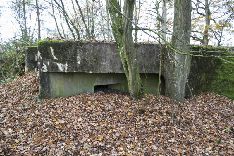 Ligne Maginot - BB3 - BUCHWIESE EST - (Blockhaus pour canon) - Flanquement droit 