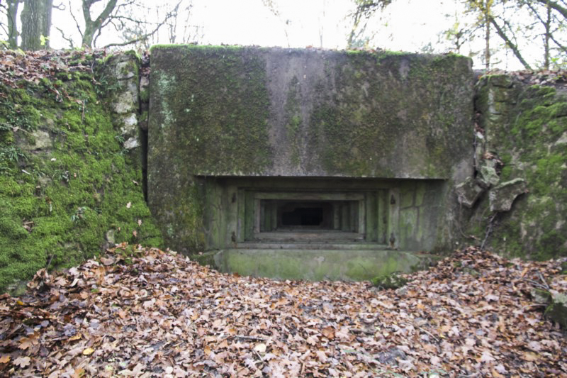 Ligne Maginot - BB3 - BUCHWIESE EST - (Blockhaus pour canon) - Créneau canon frontal