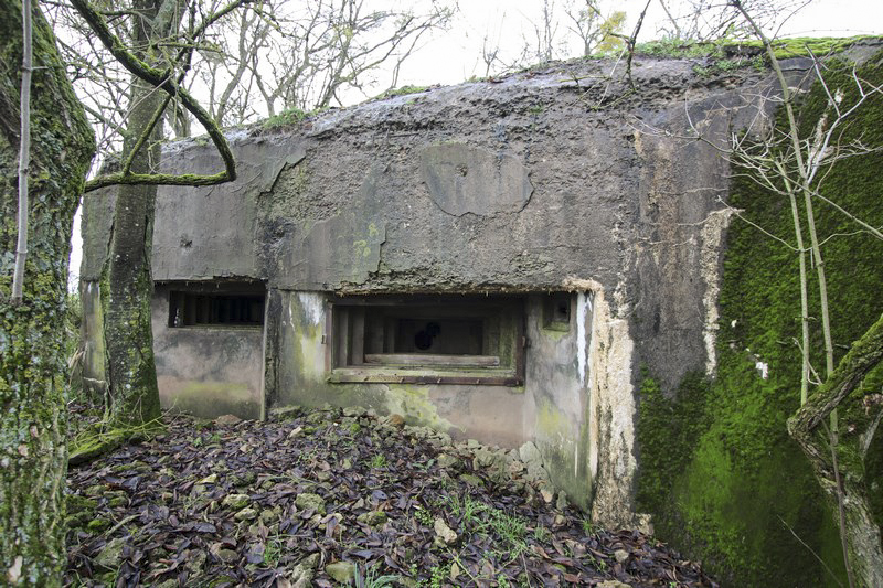 Ligne Maginot - BB34 - HERRENFELD NORD - (Blockhaus pour canon) -           
