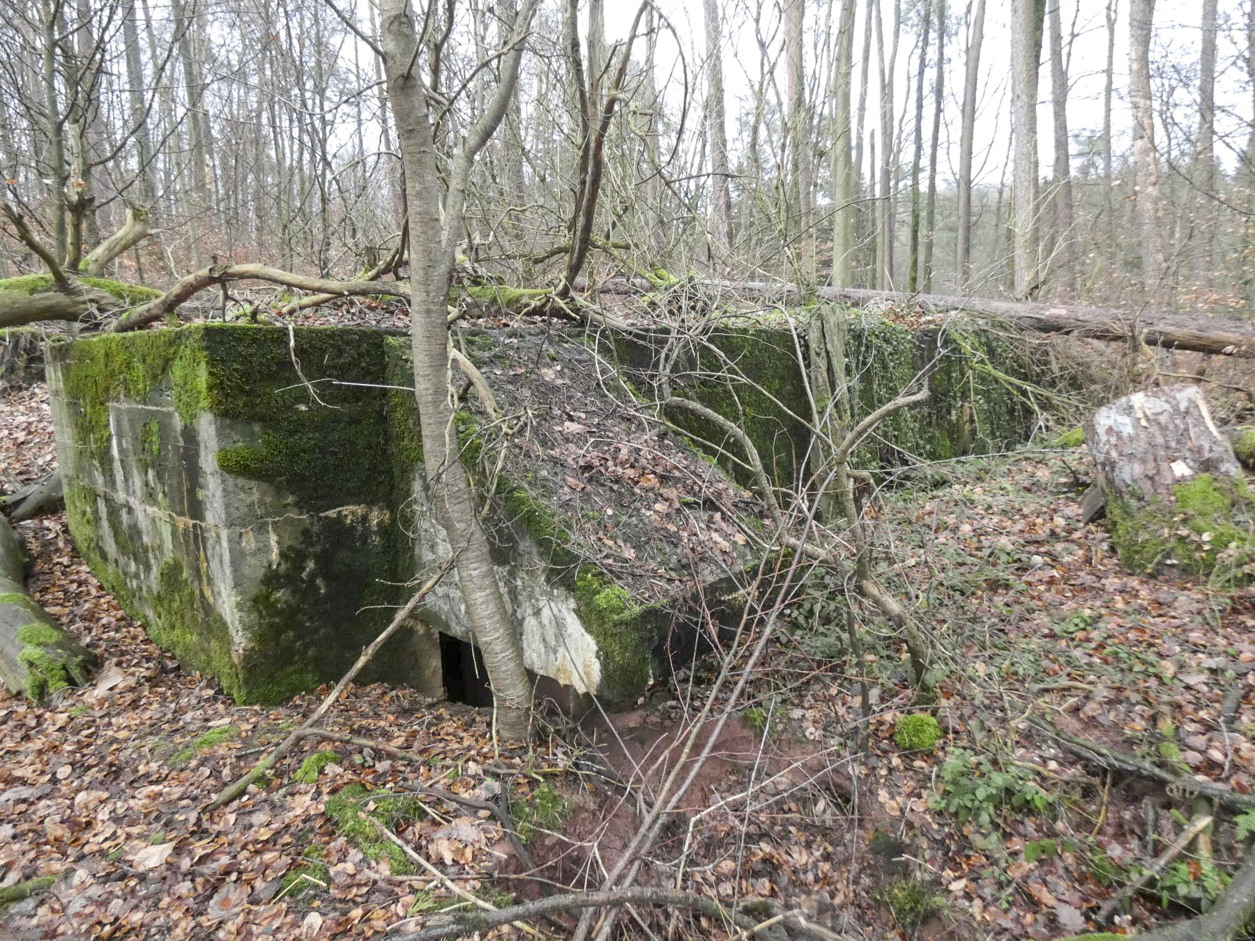 Ligne Maginot - GROSSLING - (Abri) - L'entrée de gauche est presque remblayée.