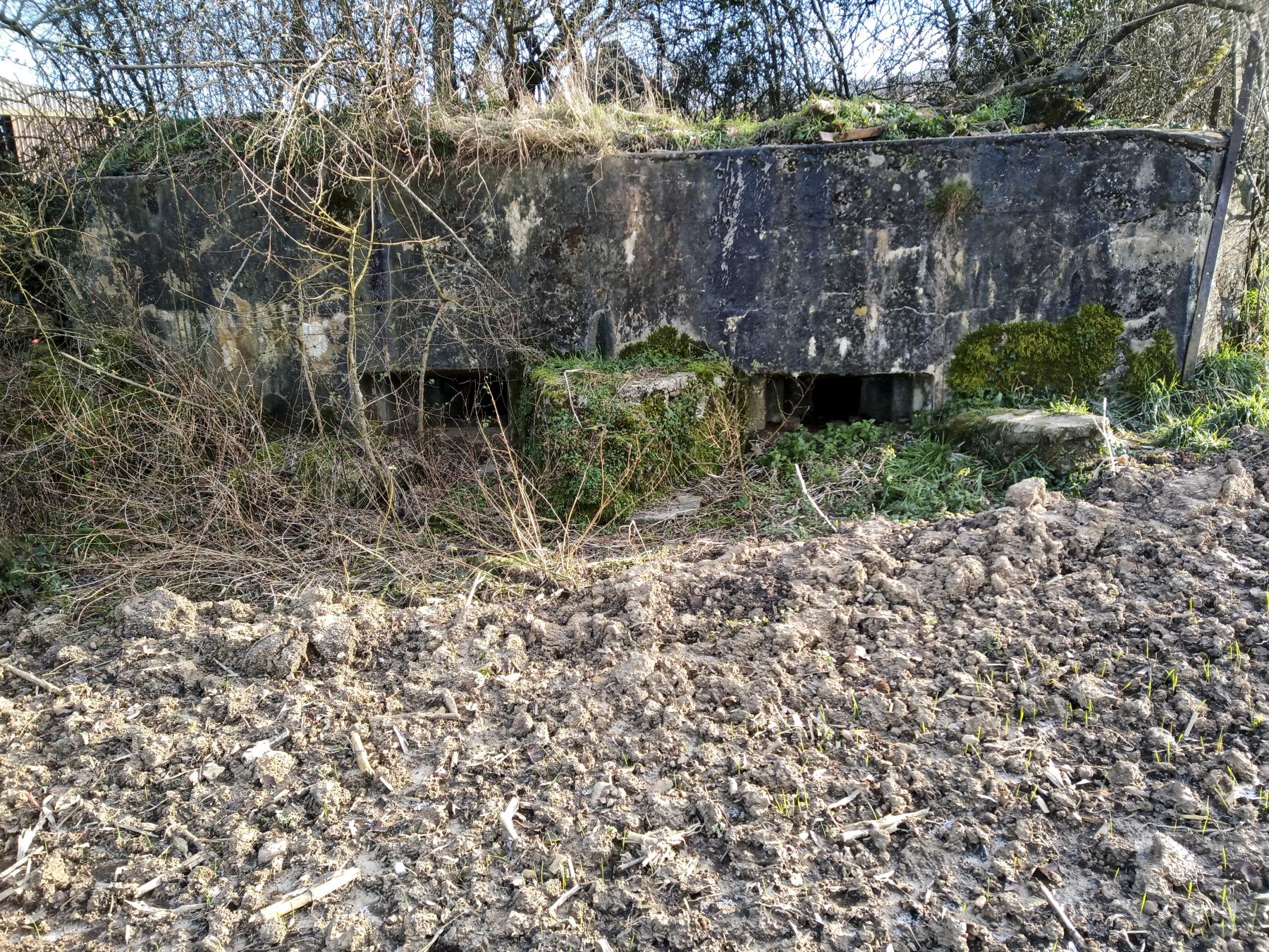 Ligne Maginot - 54 - VELOSNES OUEST - (Blockhaus pour arme infanterie) - 