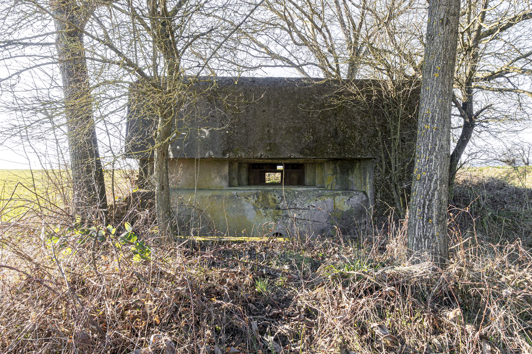 Ligne Maginot - KOHLFELD - (Blockhaus pour canon) - 