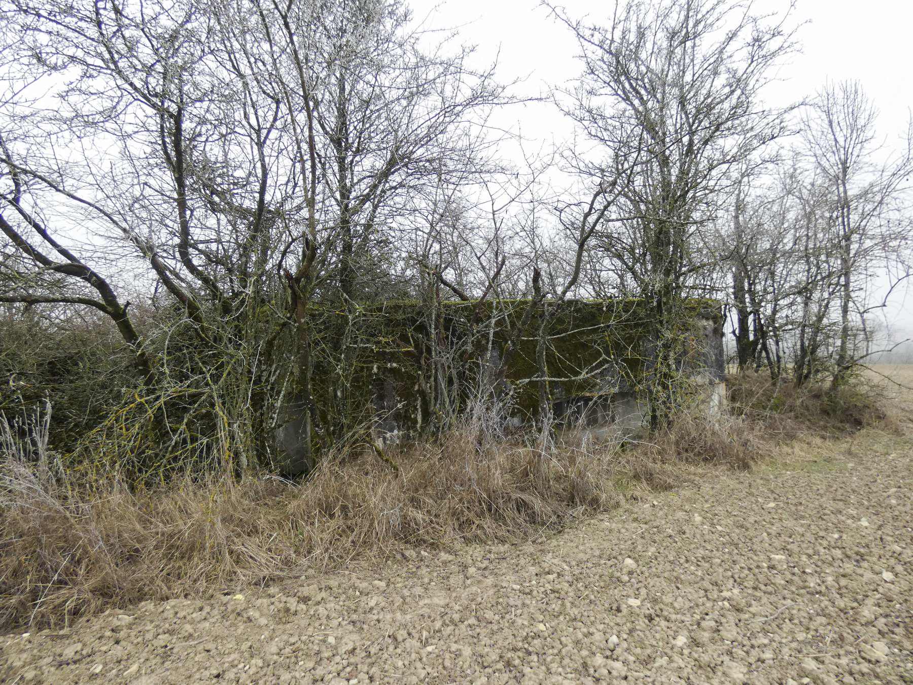 Ligne Maginot - ELSENBERG 1 - (Casemate d'infanterie - Simple) - Le blockhaus vu depuis l'Est.