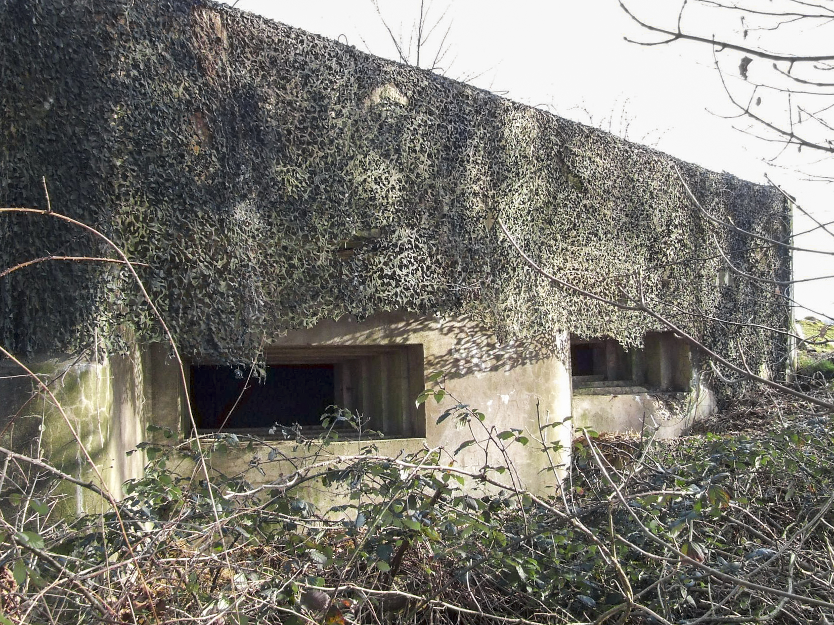 Ligne Maginot - WASENBERG 1 - (Blockhaus pour canon) - La façade de tir du blockhaus.
