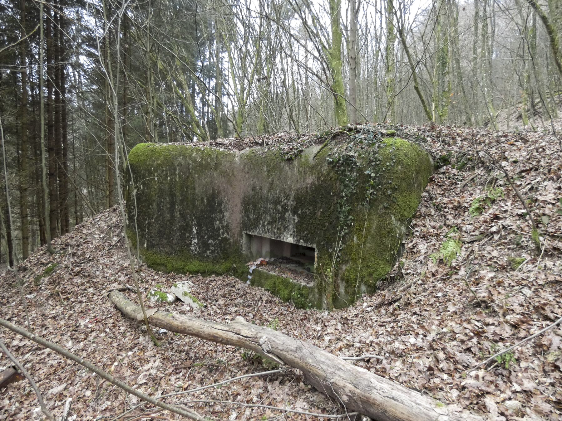 Ligne Maginot - KLAM 6 - (Blockhaus pour arme infanterie) - La façade de tir du blockhaus.