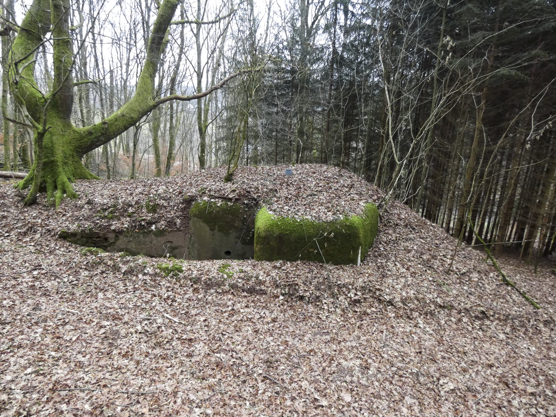 Ligne Maginot - KLAM 6 - (Blockhaus pour arme infanterie) - La vue d'ensemble.