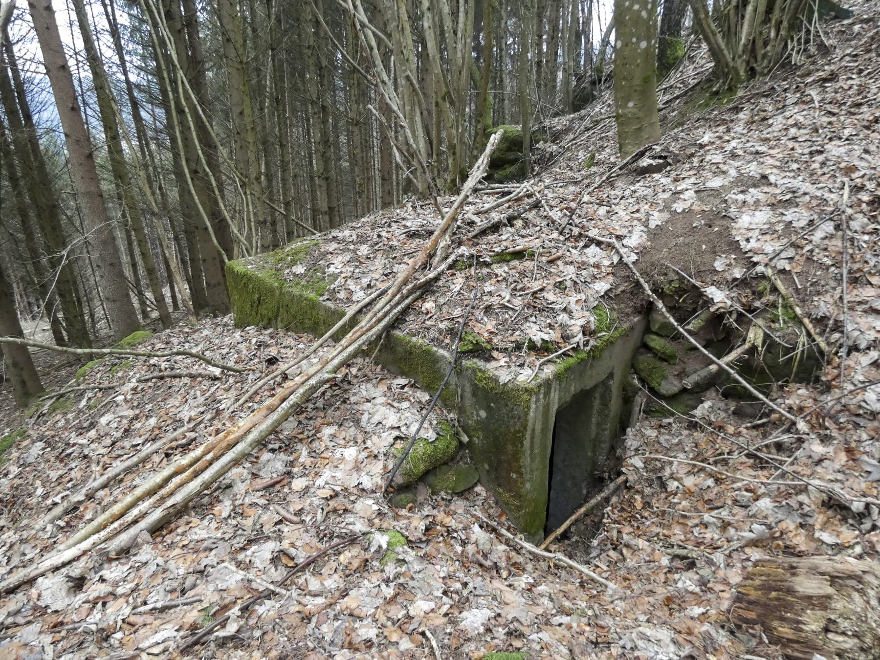Ligne Maginot - KLAM 7 - (Blockhaus pour arme infanterie) - L'entrée du blockhaus.