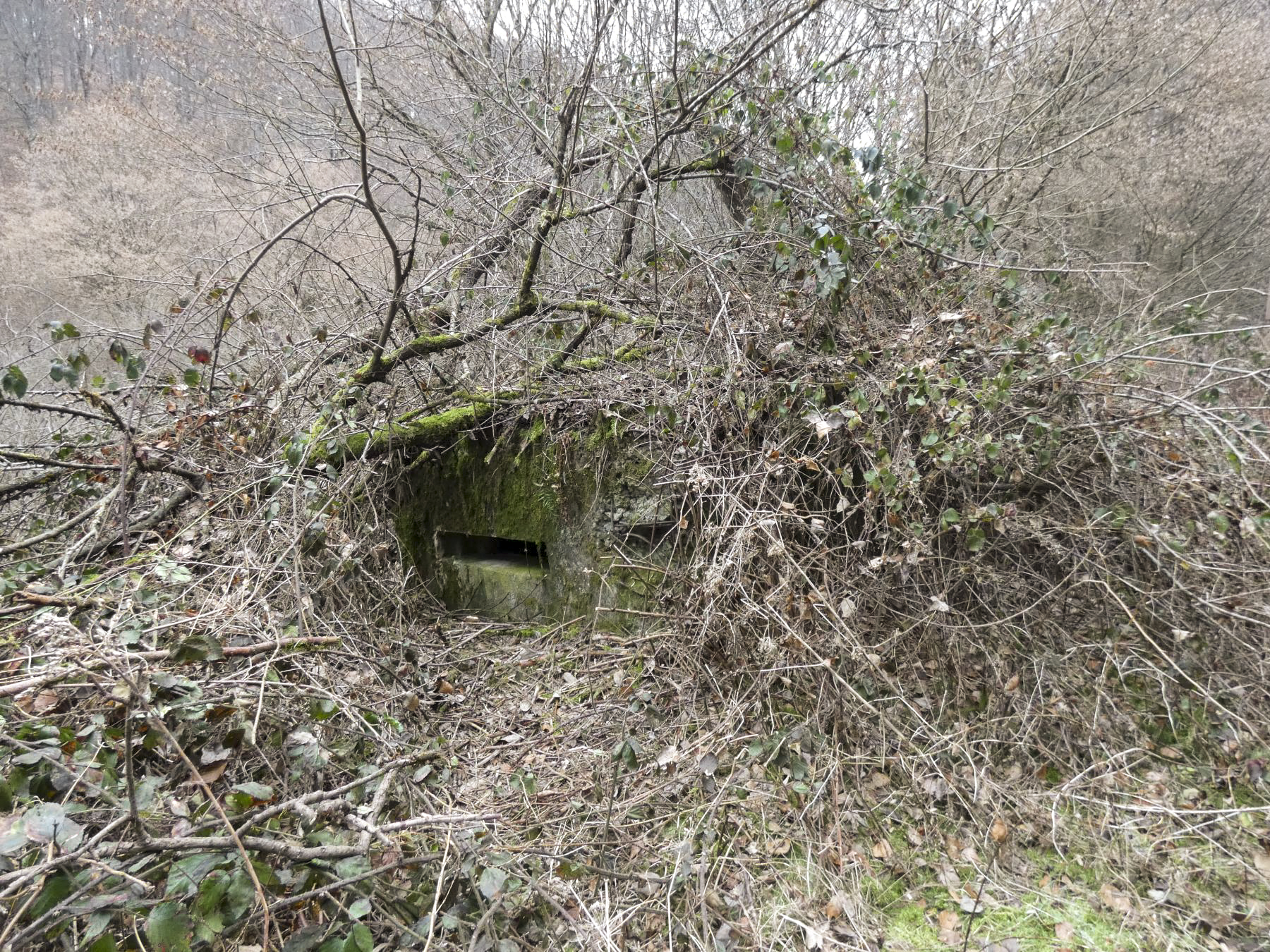 Ligne Maginot - RUISSEAU DU GROSSTHAL 4 - (Blockhaus pour arme infanterie) - La façade de tir.
