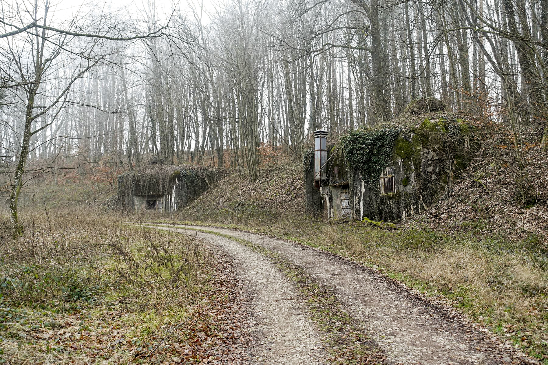 Ligne Maginot - FREUDENBERG (QUARTIER SCHIESSECK - I/37° RIF) - (Abri) - 