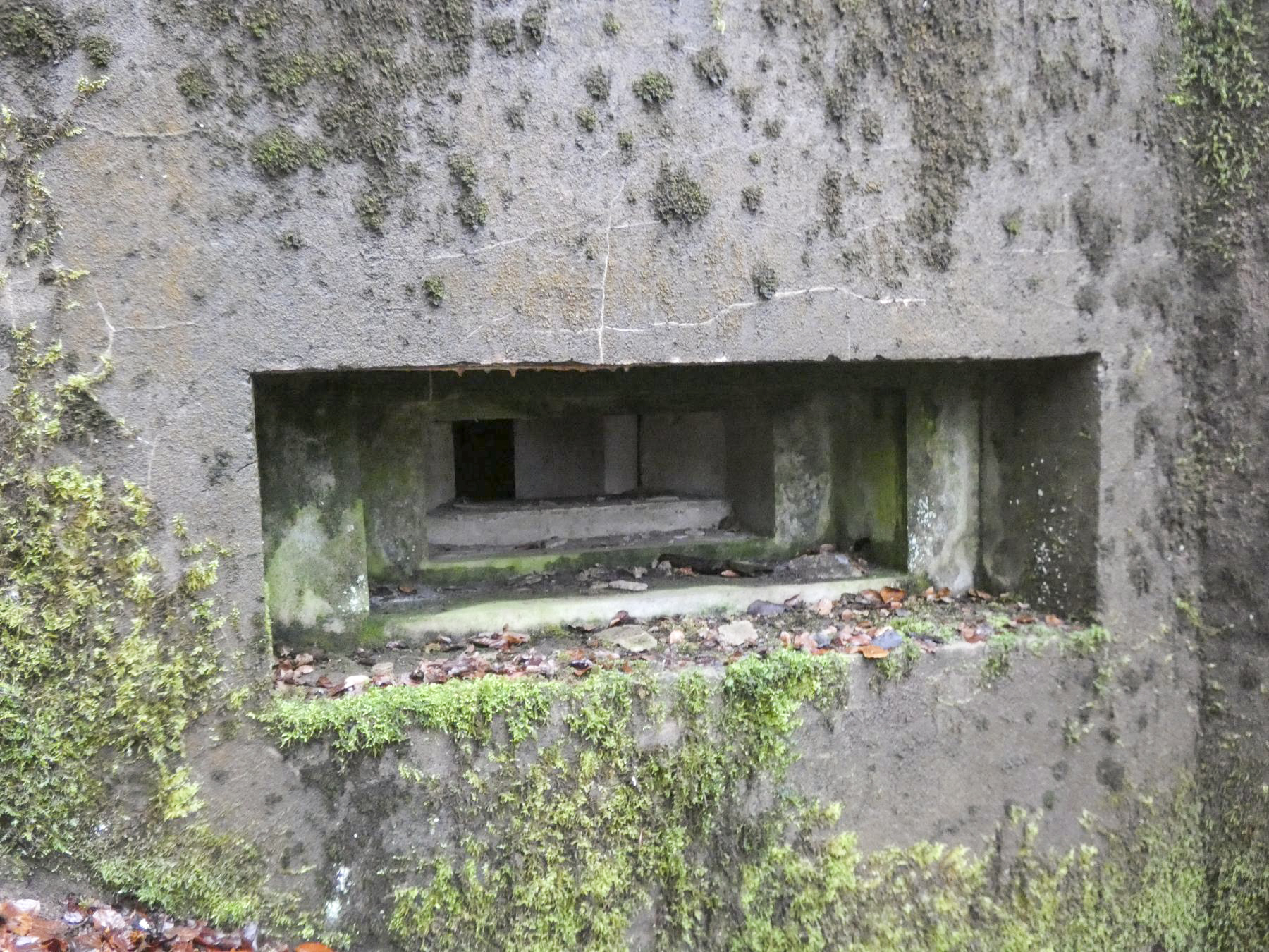 Ligne Maginot - RUISSEAU DU GROSSTHAL 2 - (Blockhaus pour arme infanterie) - L'embrasure pour mitrailleuse.