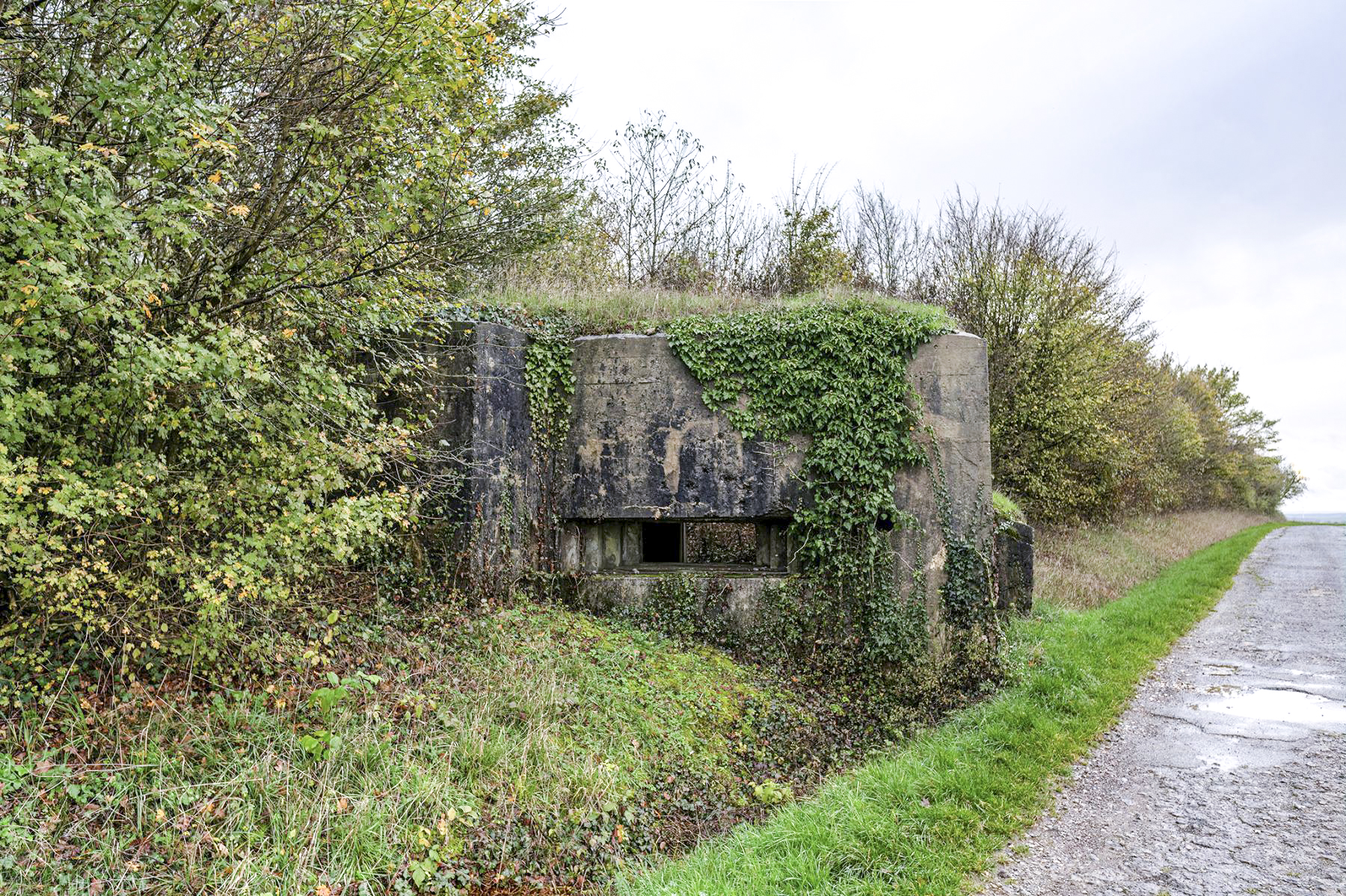Ligne Maginot - BAMBESCH EST 1 - (Blockhaus pour canon) - 