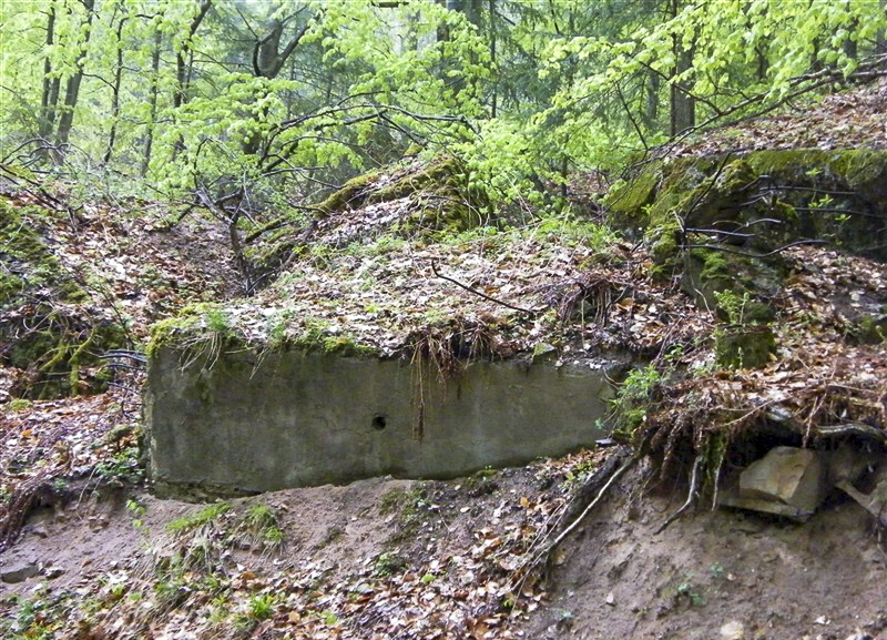 Ligne Maginot - B20-A HINTERWALD OUEST - (Blockhaus pour canon) - 