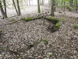 Ligne Maginot - ROTTENWALD 2 - (Cuve pour canon) - Les restes en partie remblayés de la cuve