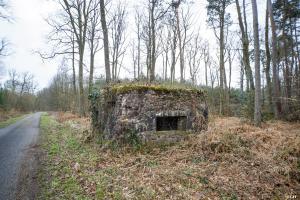 Ligne Maginot - ROUTE FORESTIERE DE LAUBACH 2 - (Blockhaus pour canon) - 