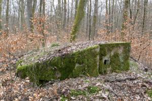 Ligne Maginot - FEEWALD - (Blockhaus pour arme infanterie) - 