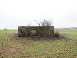Ligne Maginot - BB348BIS - (Blockhaus pour arme infanterie) - La façade de l'entrée remblayée.