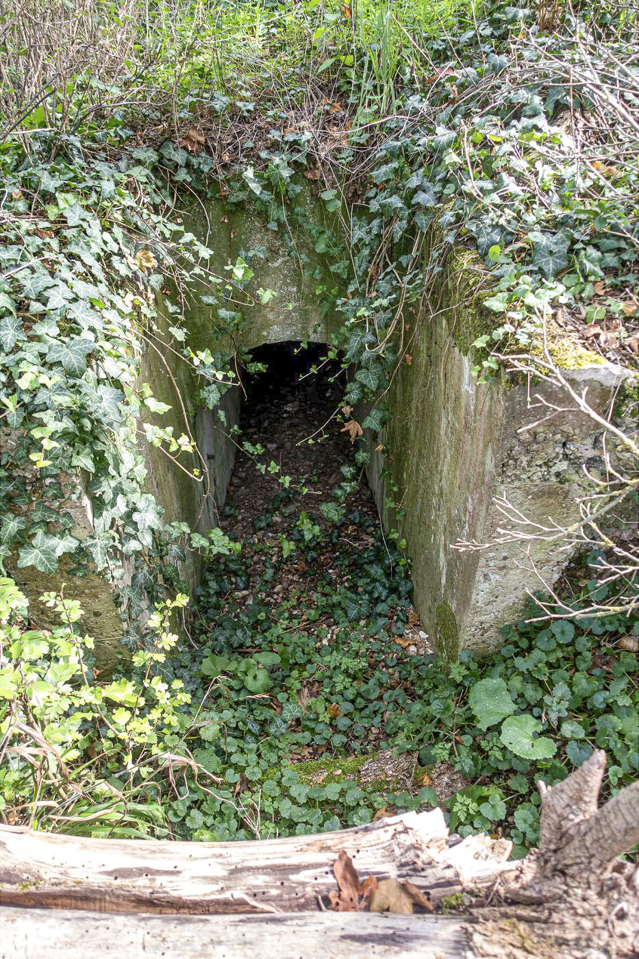 Ligne Maginot - OBERWALD SUD EST - (Blockhaus pour arme infanterie) - L'entrée