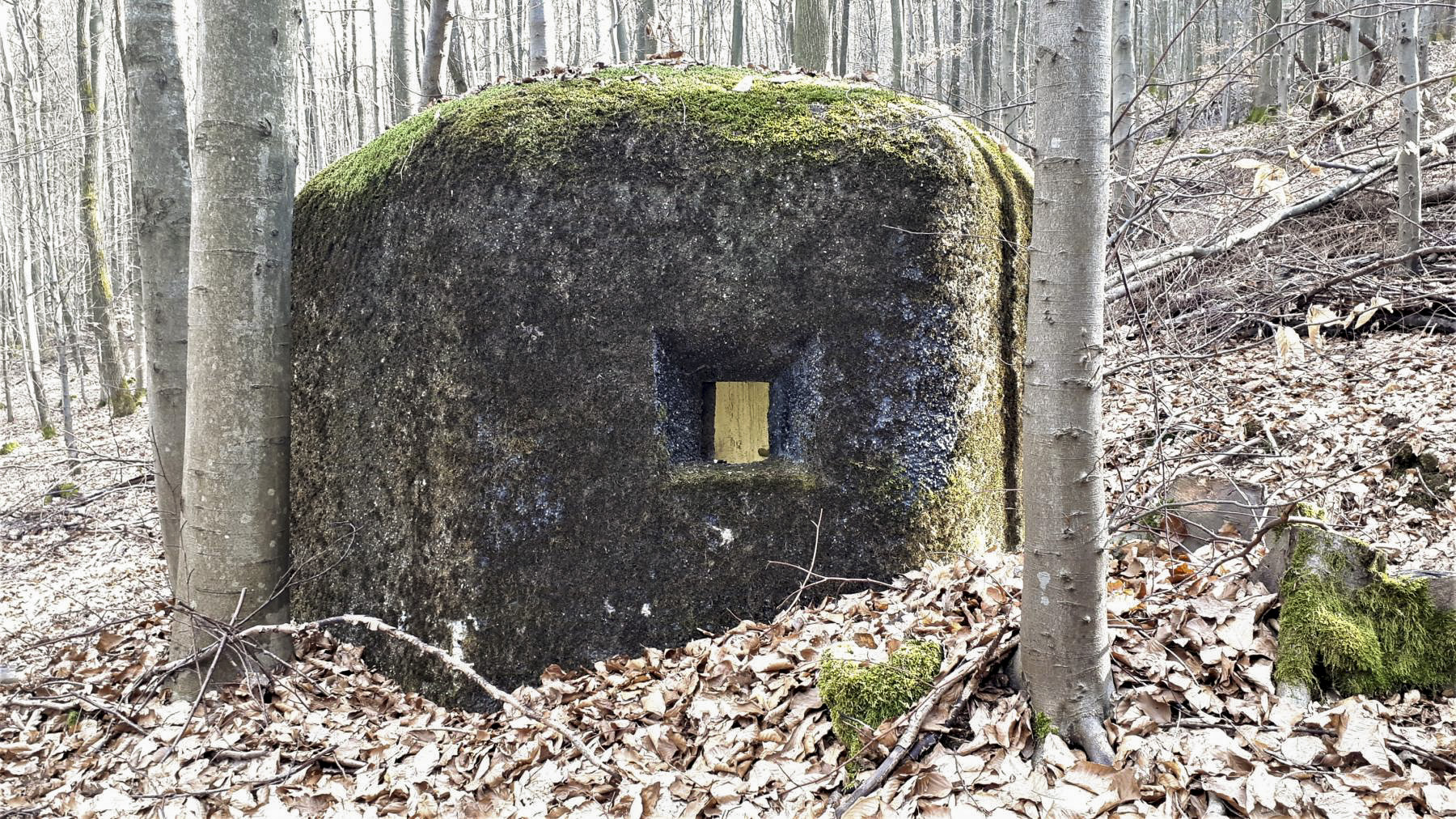 Ligne Maginot - PFAFFENBRONN 2 - (Blockhaus pour arme infanterie) - Créneau latéral de défense rapprochée