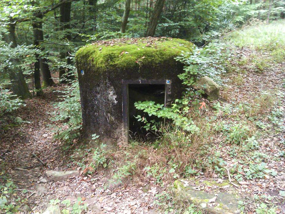 Ligne Maginot - PFAFFENBRONN 5 - (Blockhaus pour arme infanterie) - Entrée