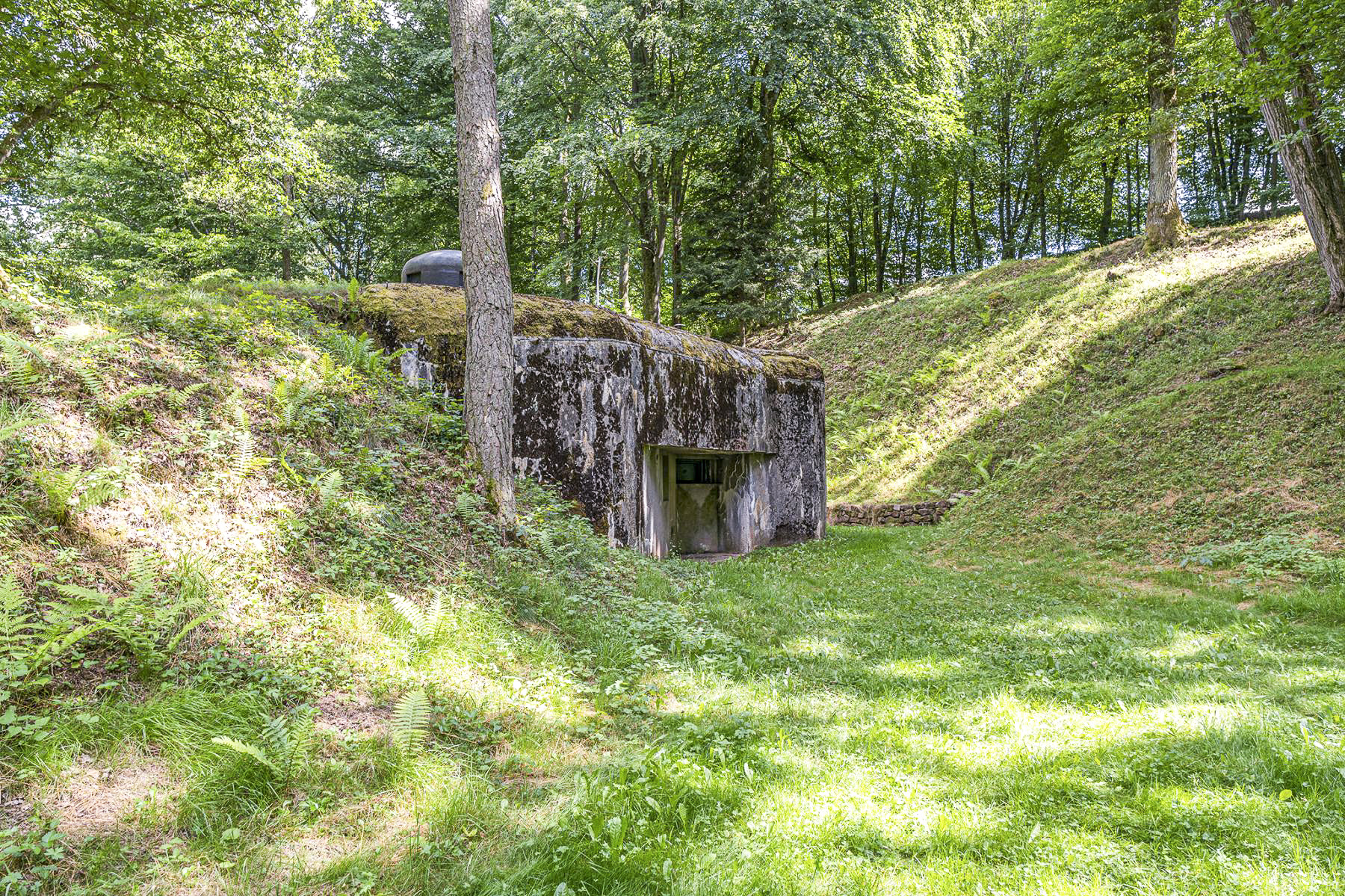 Ligne Maginot - DAMBACH SUD - C56 - (Casemate d'infanterie - Double) - Chambre de tir ouest
