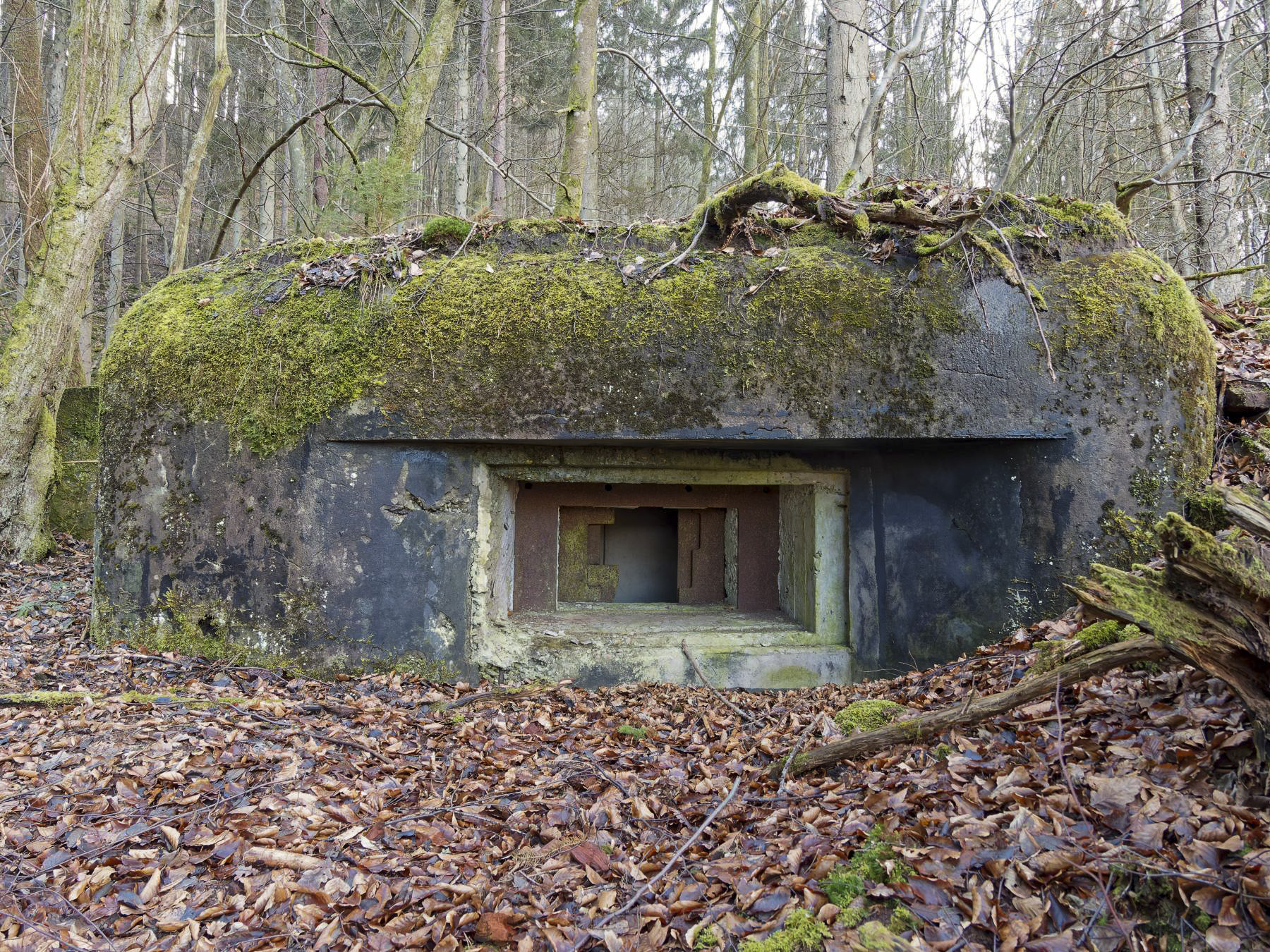 Ligne Maginot - NEUWEIHER 1 - (Blockhaus pour canon) - 
