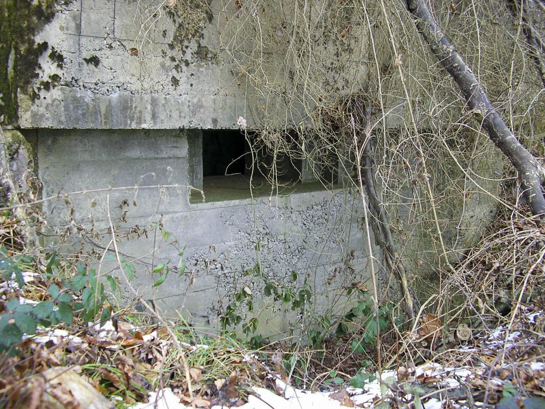 Ligne Maginot - BOIS DE HOFFEN 2 - (Blockhaus pour arme infanterie) - Créneau de tir