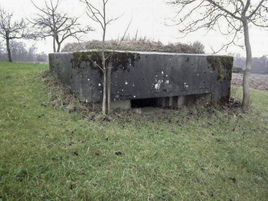 Ligne Maginot - HECKENMUEHLE EST - (Blockhaus pour canon) - Vue générale