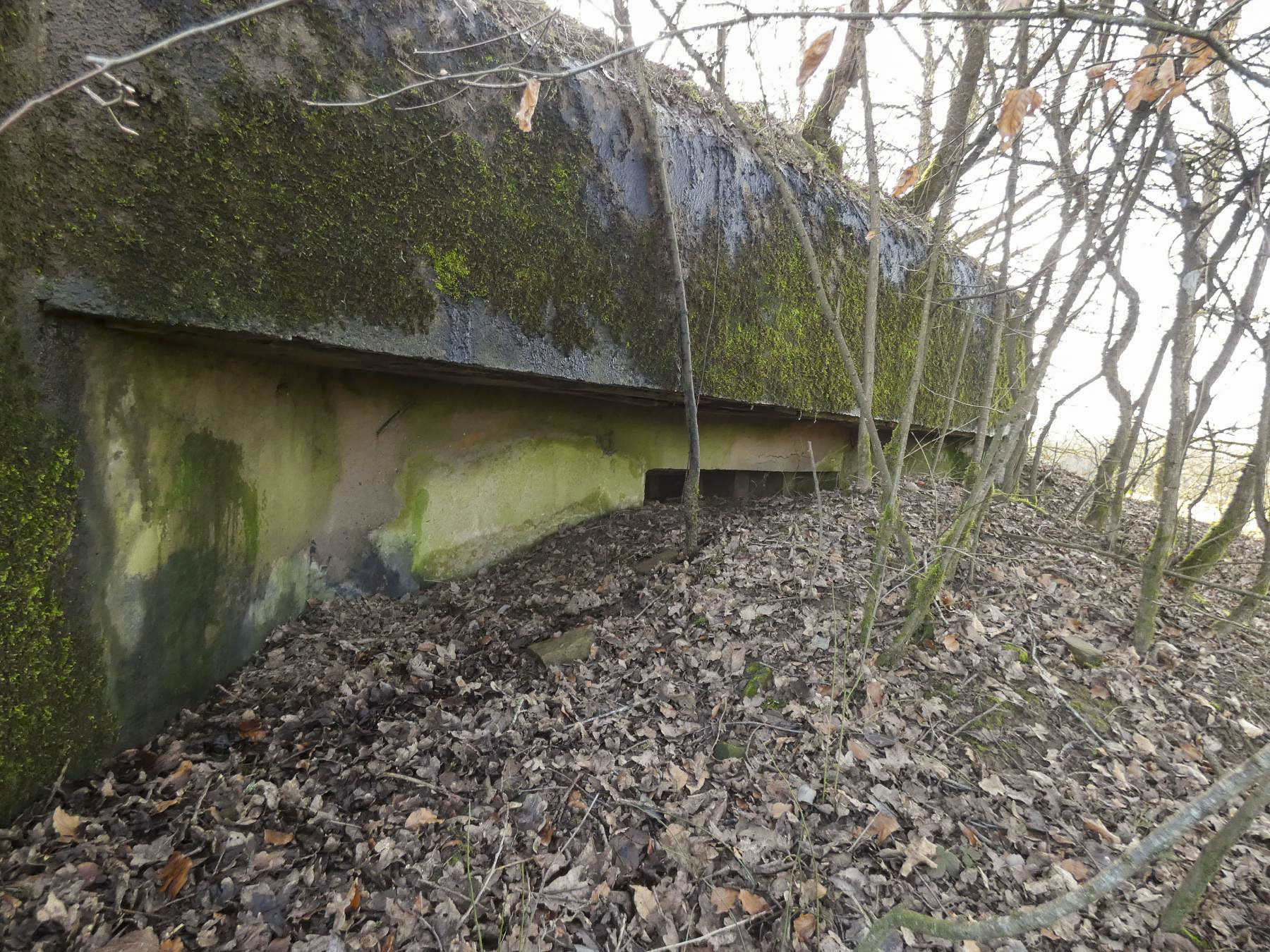 Ligne Maginot - LEGERET NORD 1 - C55-B - (Blockhaus pour canon) - La façade de tir pour mitrailleuse en partie remblayée.