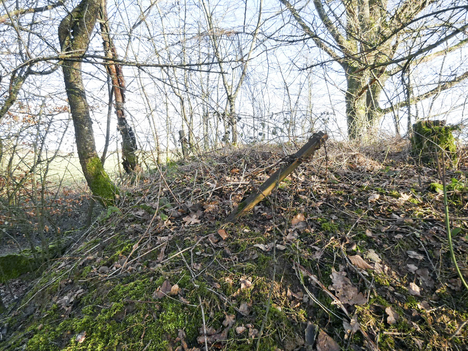 Ligne Maginot - LEGERET NORD 1 - C55-B - (Blockhaus pour canon) - Des restes de réseaux anti-personnel sur la dalle du blockhaus.