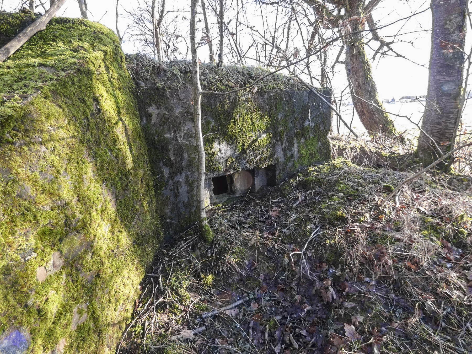 Ligne Maginot - LEGERET NORD 2 - GM1 - (Blockhaus pour arme infanterie) - Le premier créneaux pour une mitrailleuse.