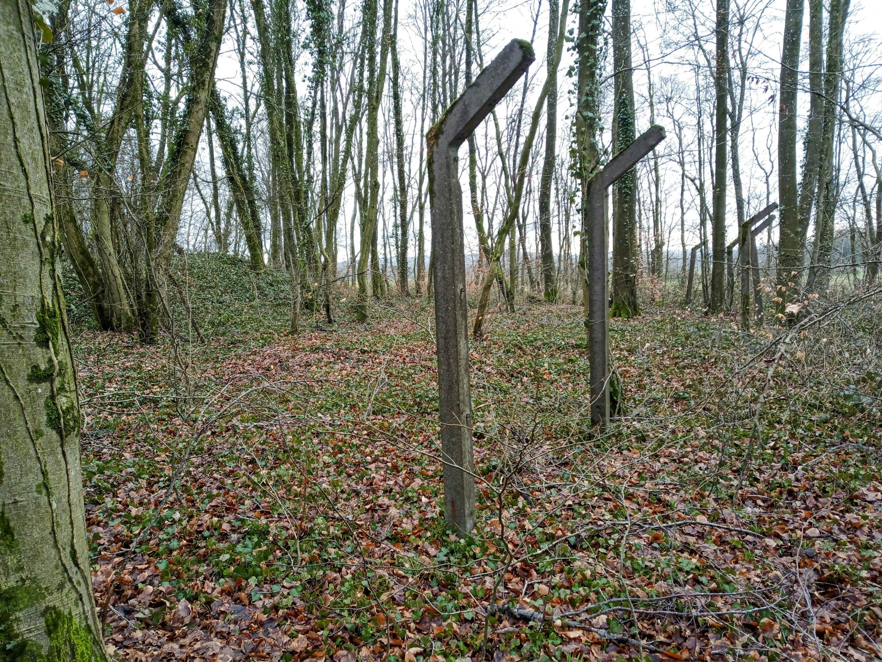 Ligne Maginot - GRAND BOIS - (Dépôt de Munitions) - 