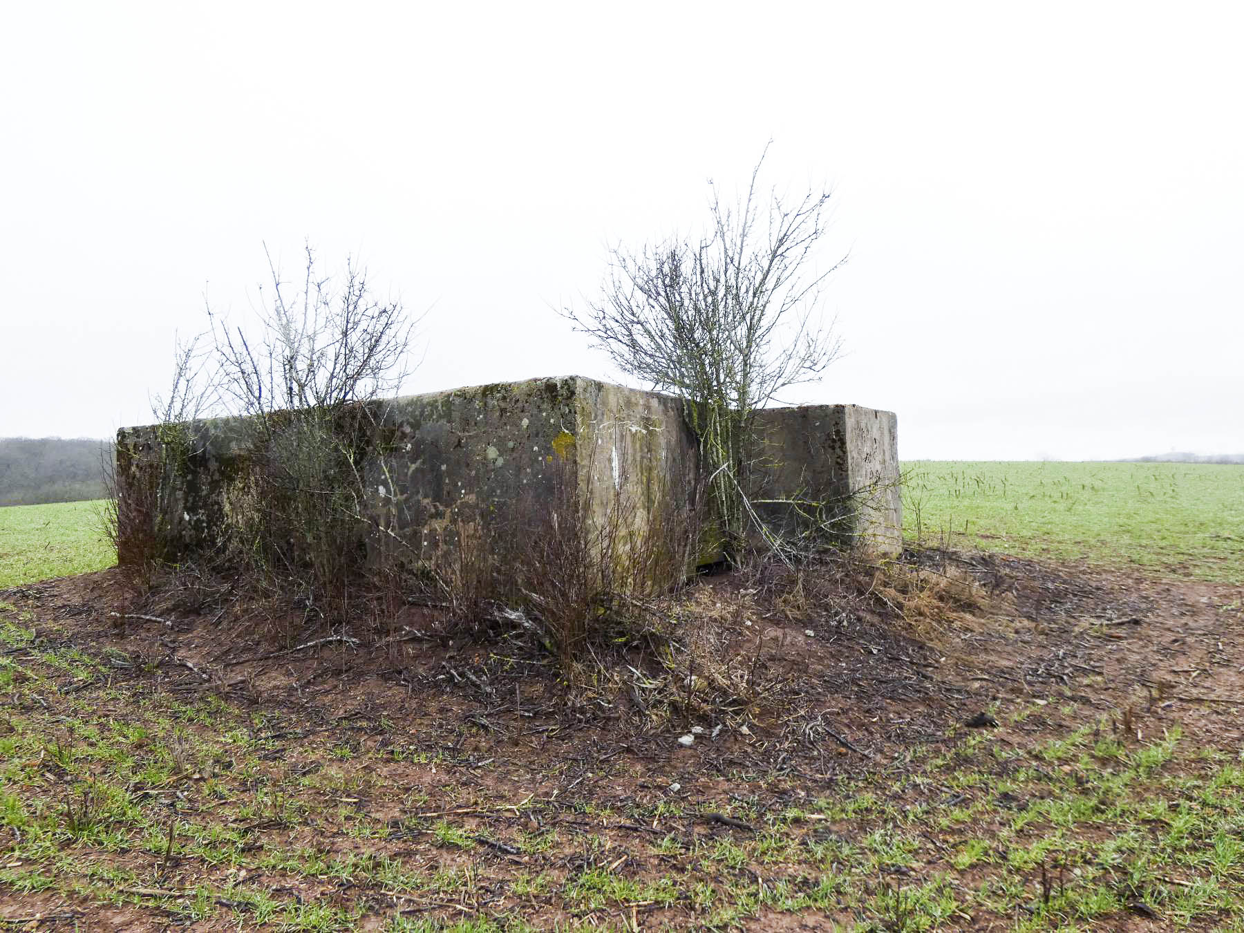 Ligne Maginot - BB348BIS - (Blockhaus pour arme infanterie) - La façade de tir du blockhaus.