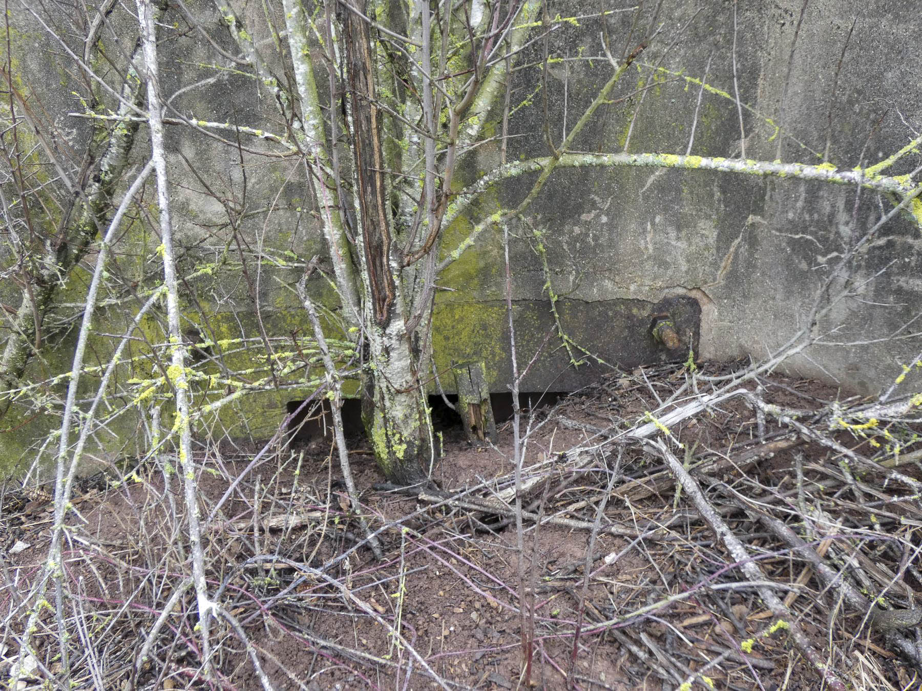 Ligne Maginot - BB348BIS - (Blockhaus pour arme infanterie) - Le créneaux en partie remblayé.