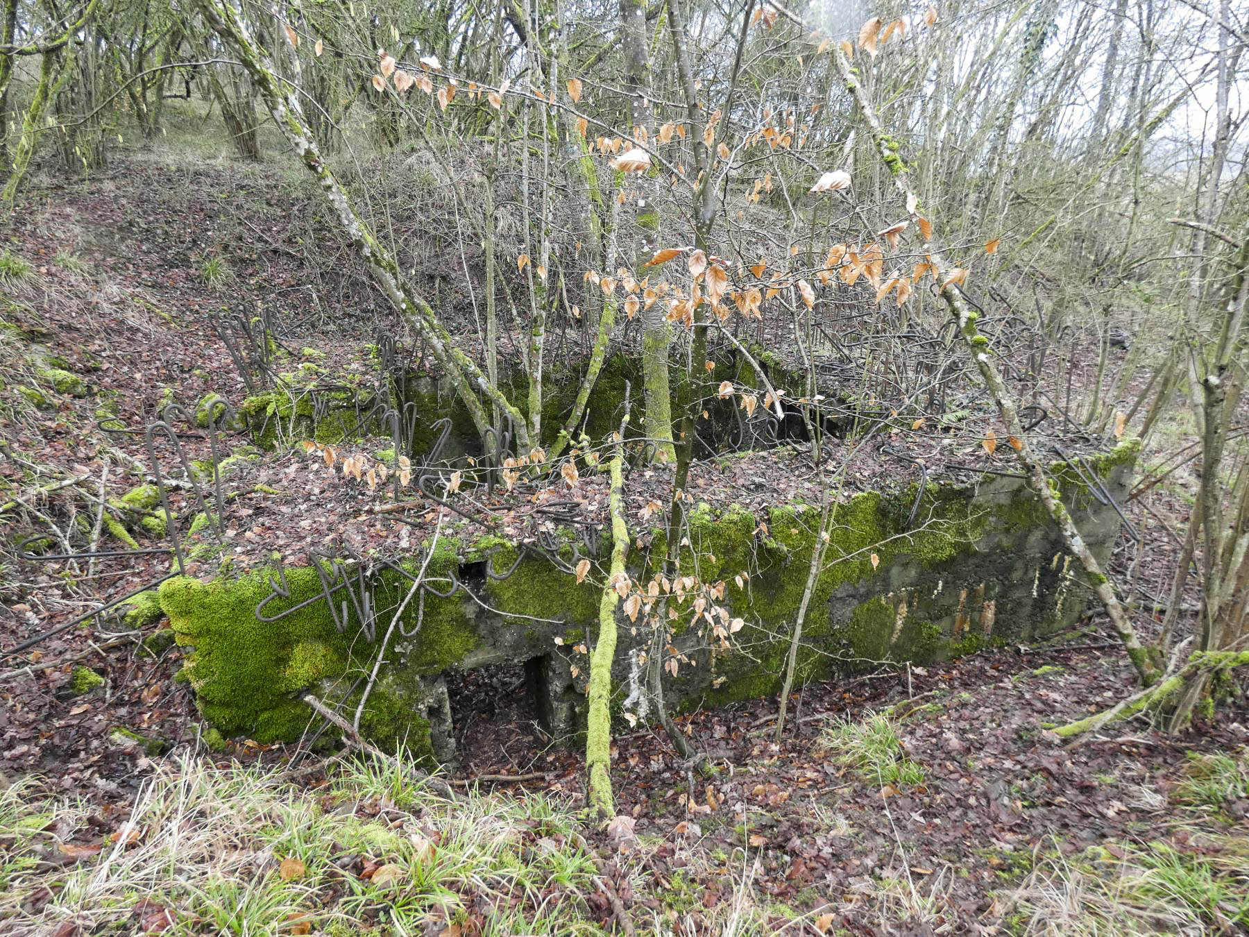 Ligne Maginot - BB320 - (Blockhaus pour canon) - Le côté de l'entrée des hommes.