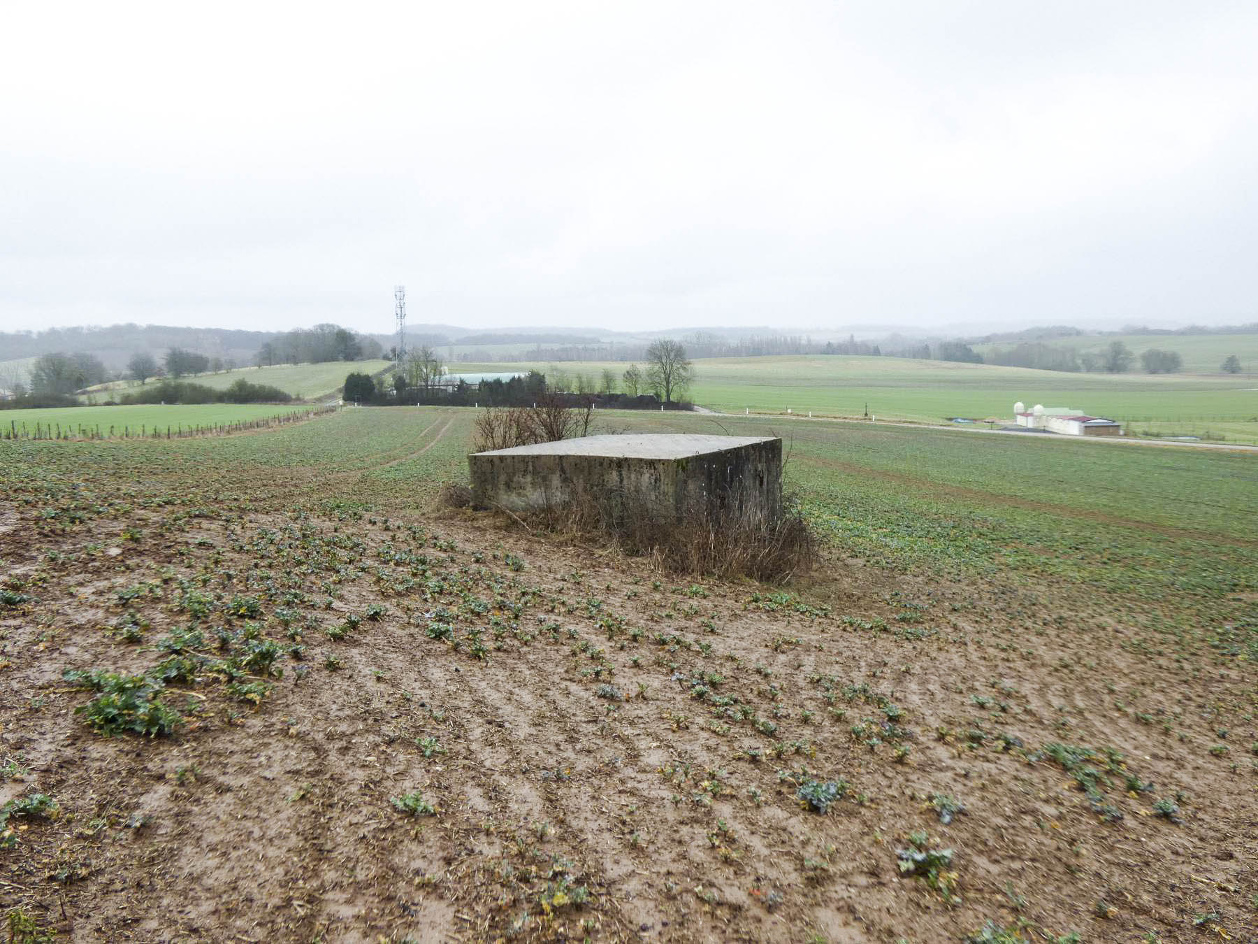 Ligne Maginot - BB319 - SANDBRUCKEN 2 - (Blockhaus pour arme infanterie) - La vue arrière du blockhaus. Il flanque la route Férange-Eberswiller au fond.