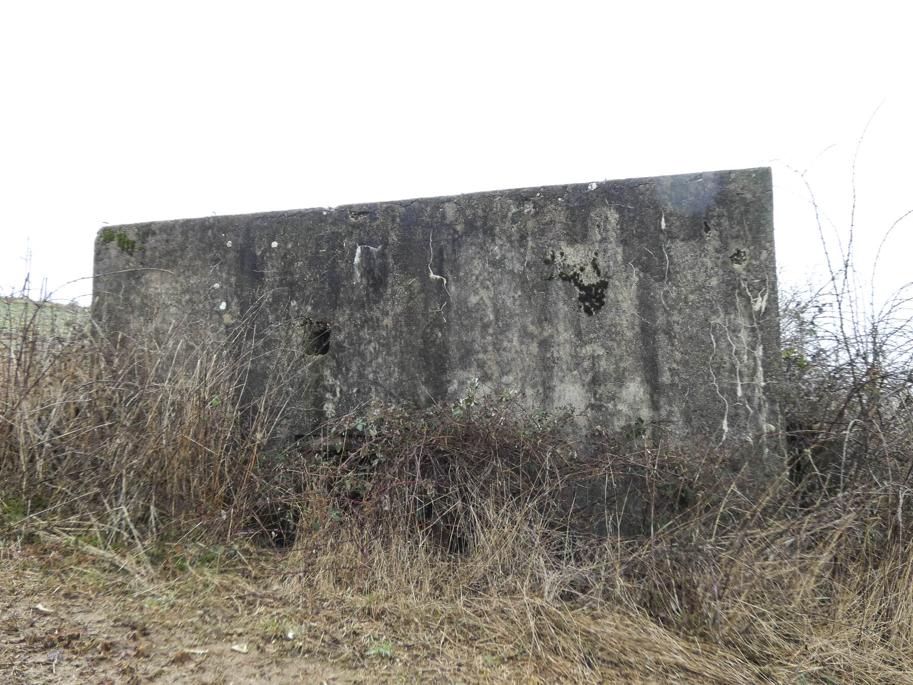 Ligne Maginot - BB319 - SANDBRUCKEN 2 - (Blockhaus pour arme infanterie) - La façade de l'entrée remblayée.