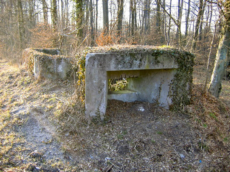 Ligne Maginot - MAISON FORESTIERE DE L'EBERBACH 1 - (Blockhaus pour canon) - 
