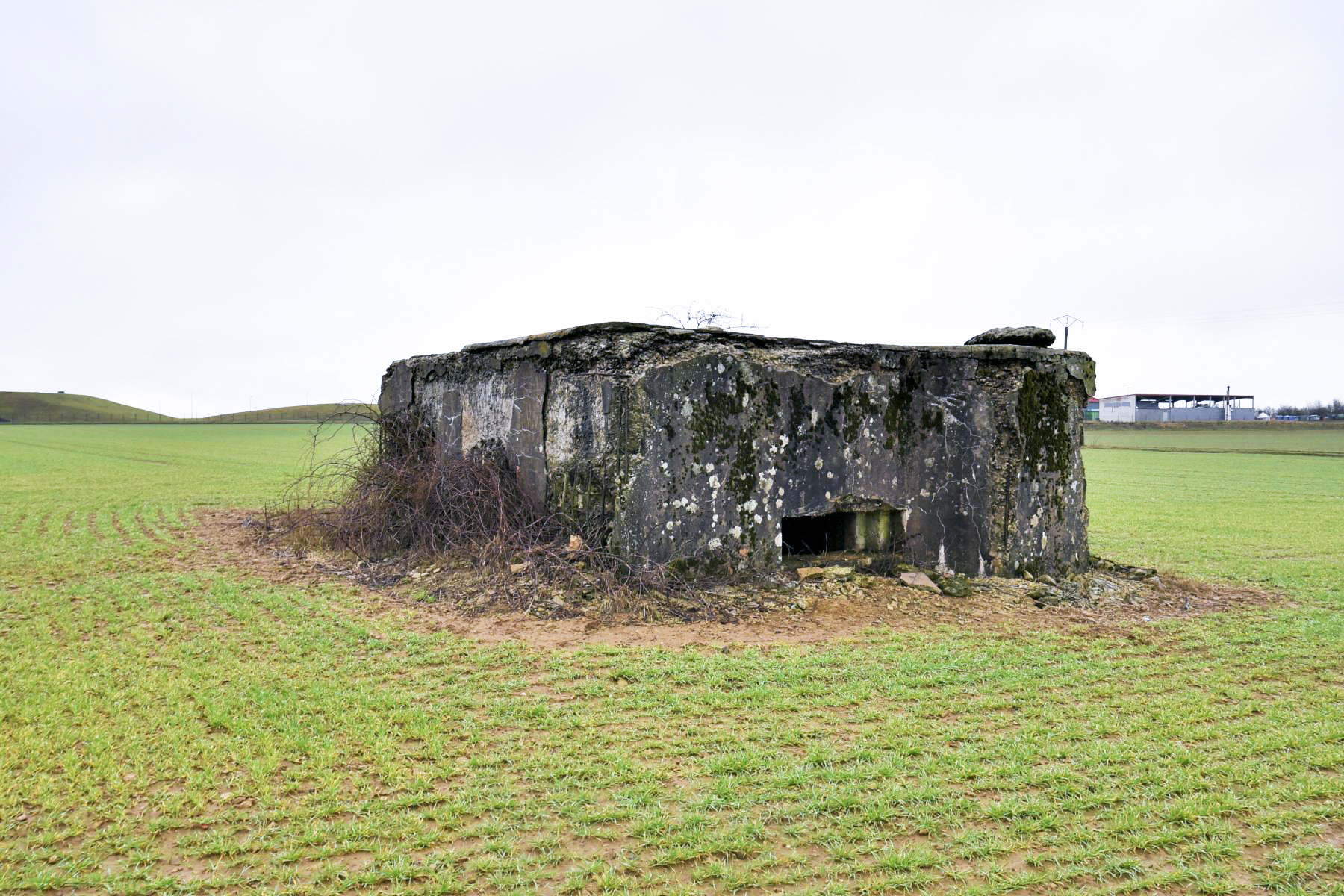 Ligne Maginot - DB123 - CROIX D'AUDUN NORD - (Blockhaus pour canon) - 