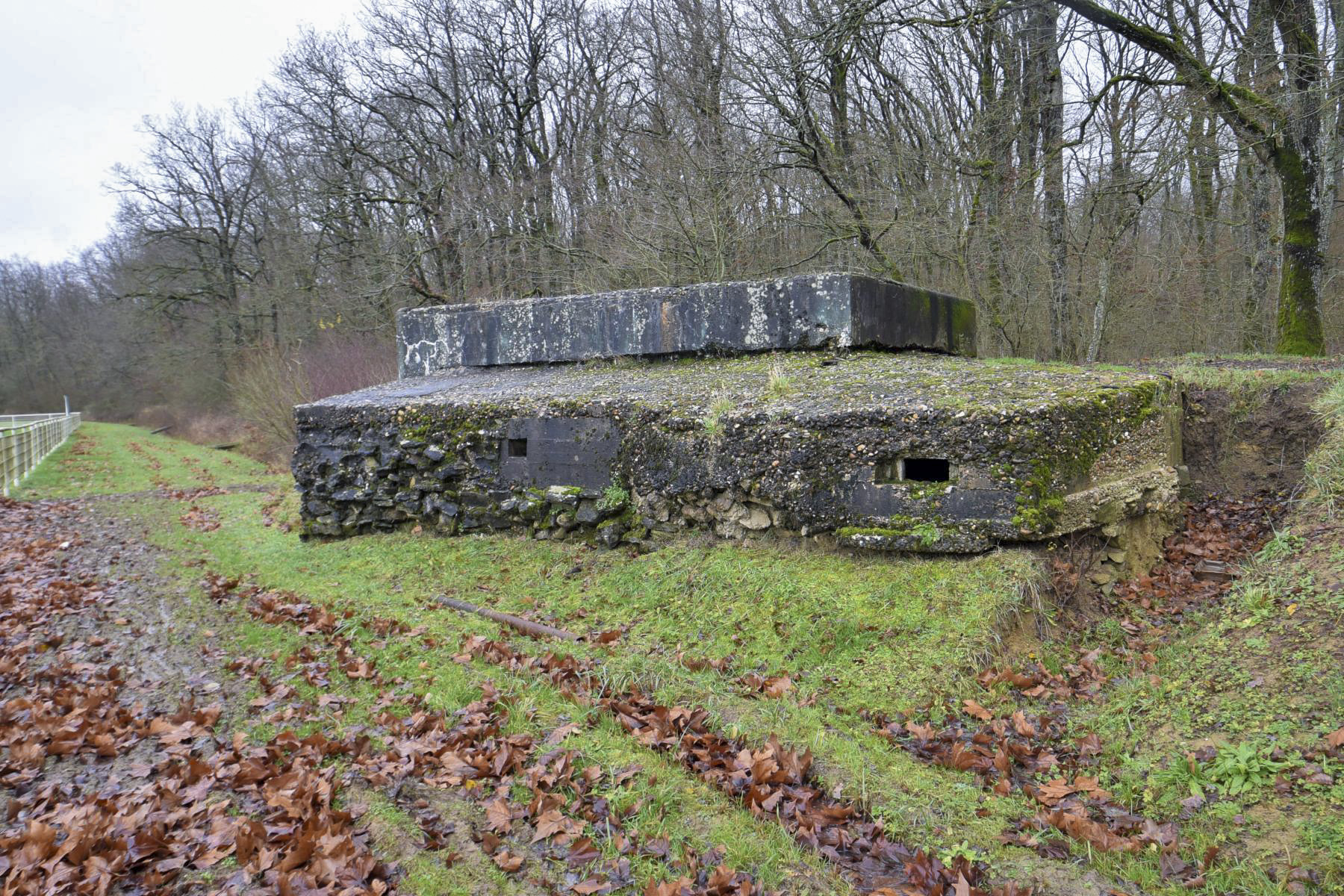 Ligne Maginot - CB299 - JUNGBUSCH - (Blockhaus pour canon) - 