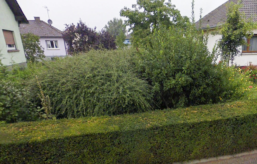 Ligne Maginot - MITTLERE HARTH NORD - (Blockhaus pour canon) - Le bloc est dans le bosquet de végétation
