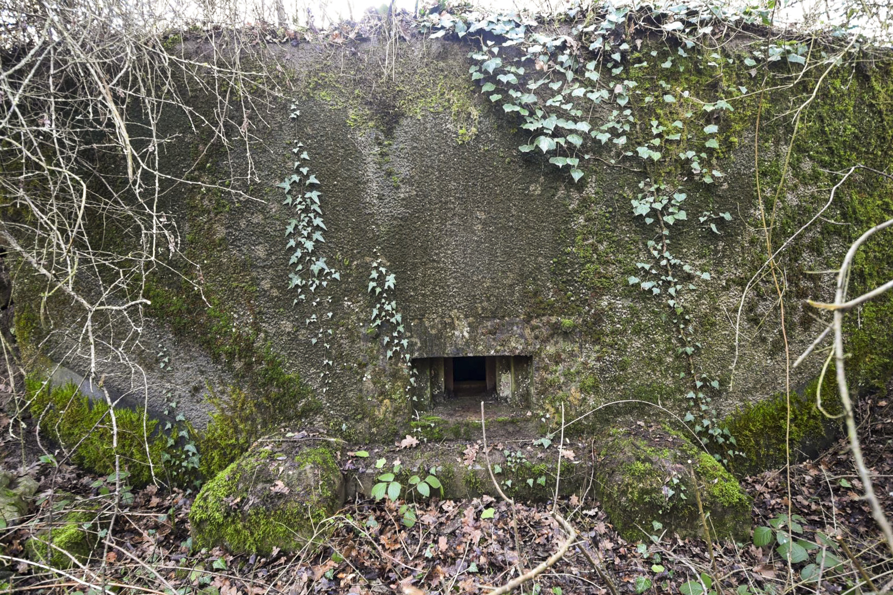 Ligne Maginot - BONTEL EST - (Blockhaus pour arme infanterie) - 